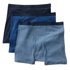 Big & Tall Hanes® Classics 3-pack Fresh IQ Boxer Briefs -columbia shop 2993460 Assorted
